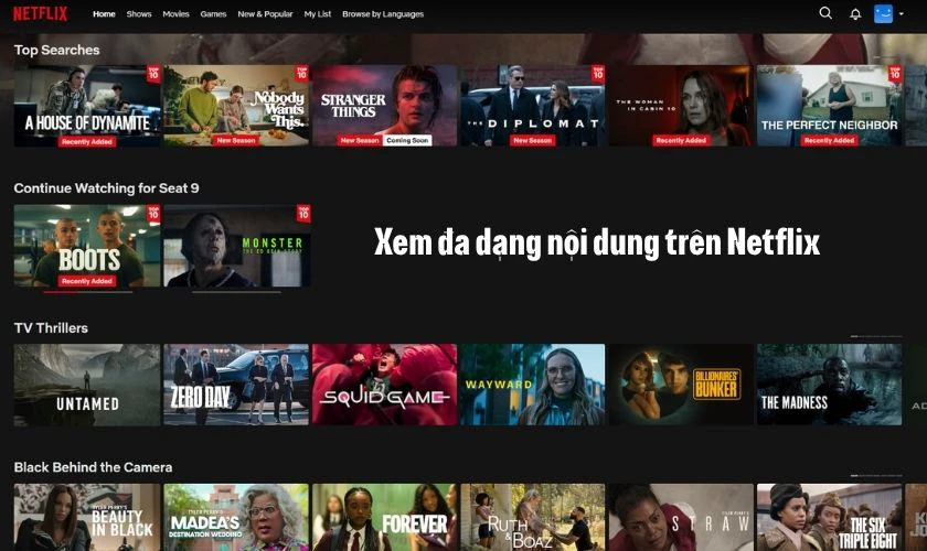 Có thể xem gì trên Netflix?