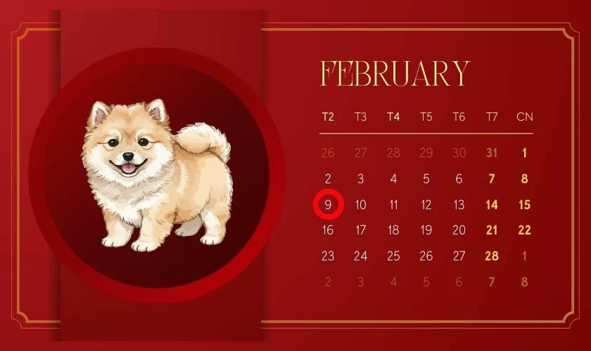 Xem ngày tốt tháng 2 năm 2026 tuổi Tuất
