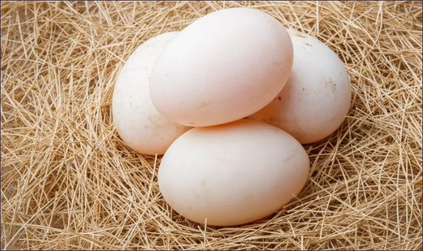 Trứng vịt cũng được nhiều người mua về ngày vía Thần Tài