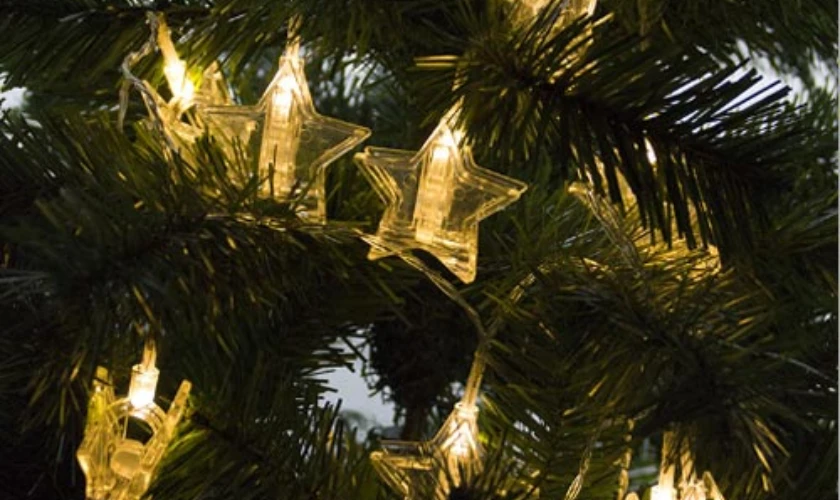 Hình ảnh ngôi sao Noel ngoài đời đẹp