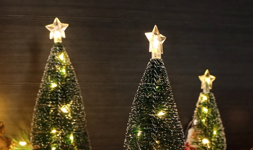 Hình ảnh ngôi sao Noel ngoài đời