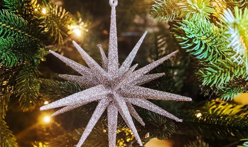 Hình ảnh ngôi sao Noel ngoài đời thậtmới lạ
