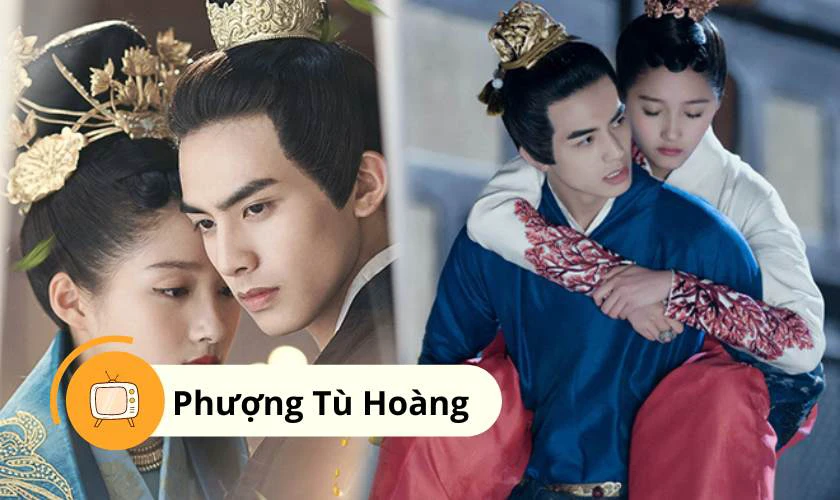 Phượng T&ugrave; Ho&agrave;ng