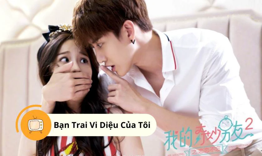 Bạn Trai Vi Diệu Của T&ocirc;i