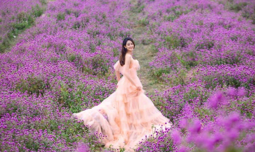 Thảo nguyên hoa Long Biên