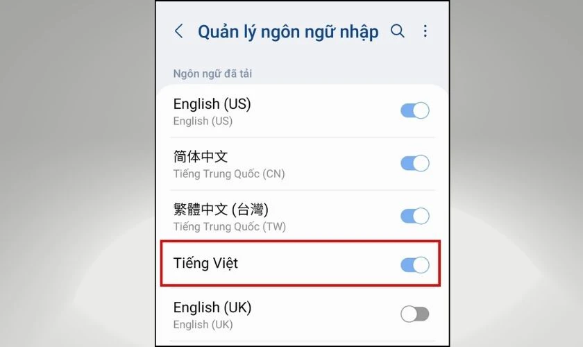 Nhấn vào thanh gạt tại mục Tiếng Việt sao cho chuyển sang màu xanh