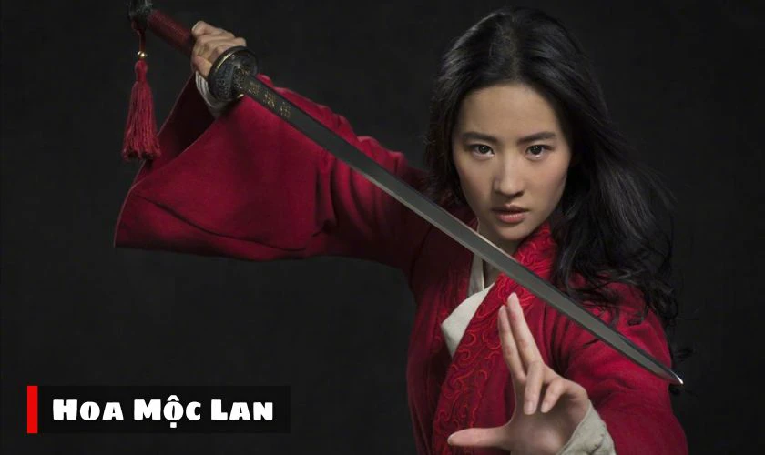 Hoa Mộc Lan đánh dấu cột mốc quan trọng trong sự nghiệp của Lưu Diệc Phi