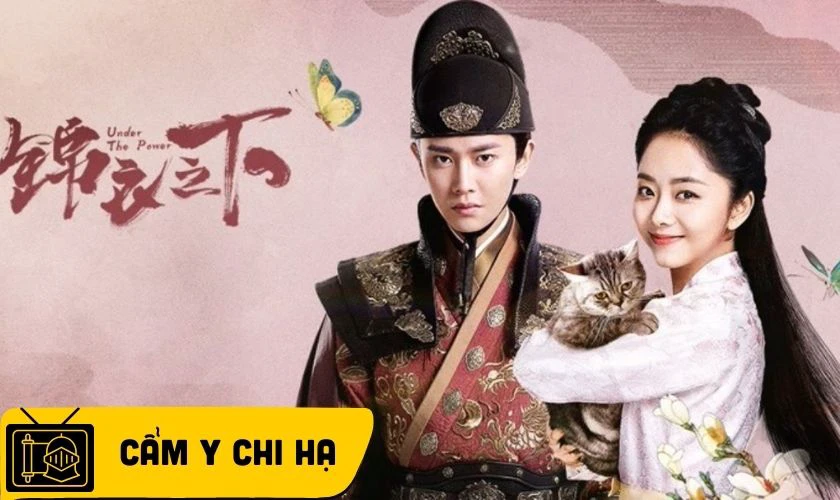 Cẩm Y Chi Hạ