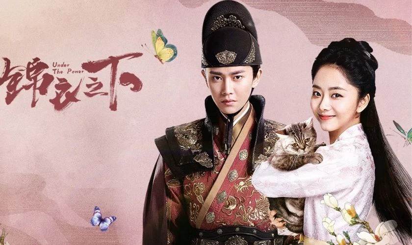 Cẩm Y Chi Hạ - Phim cổ trang trinh thám cực cuốn không thể rời mắt