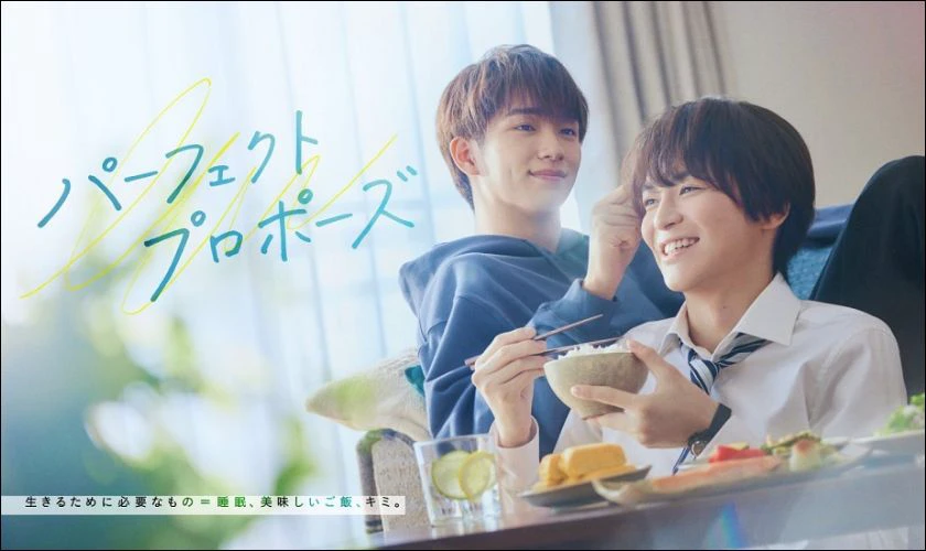 Perfect Propose l&agrave; phim đam mỹ Nhật Bản hay nhất
