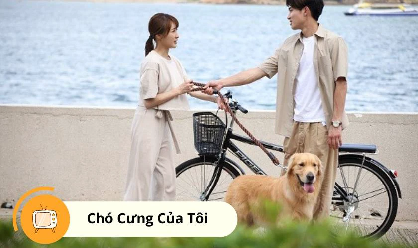 Phim h&agrave;i Hồng K&ocirc;ng mới nhất th&uacute; cưng