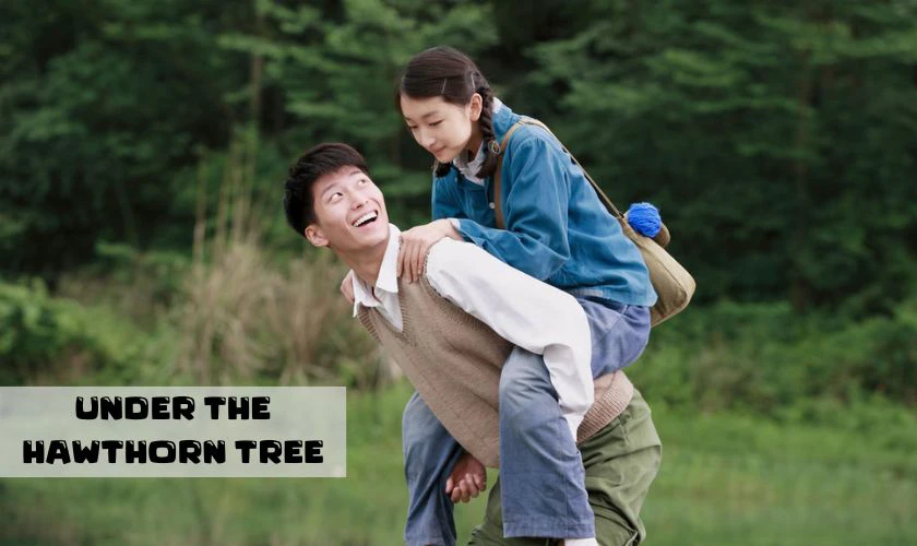 Under the Hawthorn Tree - Chuyện T&igrave;nh C&acirc;y T&aacute;o Gai (2010)
