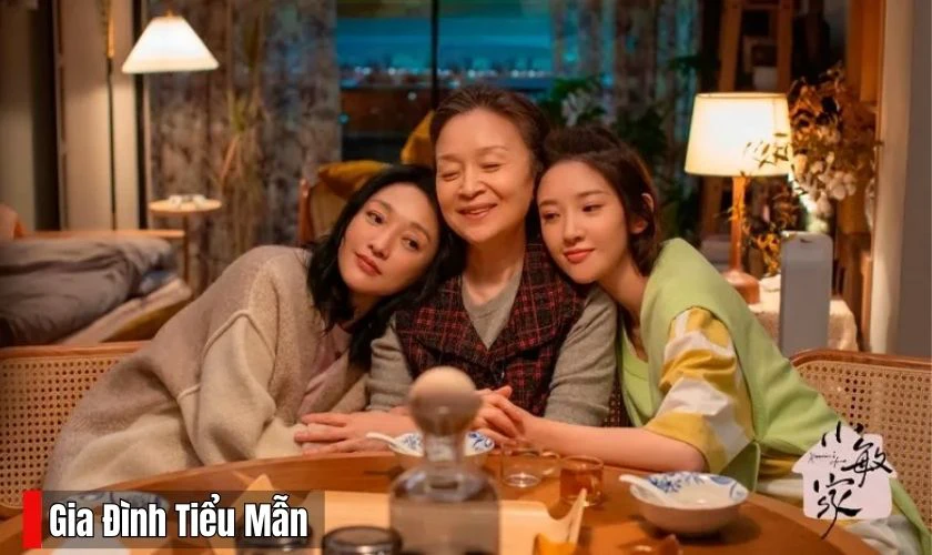 Gia Đ&igrave;nh Tiểu Mẫn l&agrave; bộ phim ti&ecirc;u biểu cho d&ograve;ng phim t&acirc;m l&yacute; t&igrave;nh cảm gia đ&igrave;nh Trung Quốc