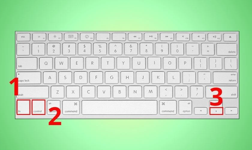 Điều hướng sheet sang b&ecirc;n phải tr&ecirc;n macOS
