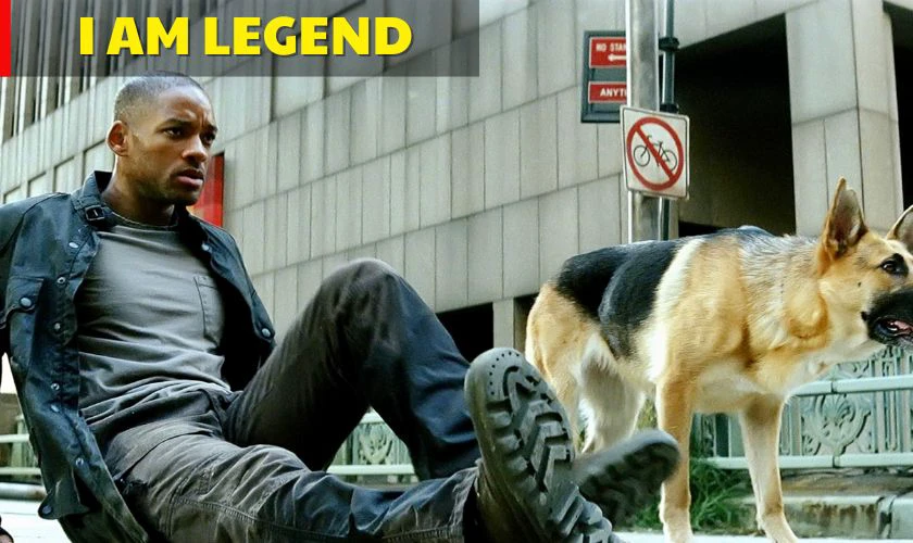 I Am Legend - Th&agrave;nh Phố Chết (T&ocirc;i L&agrave; Huyền Thoại)