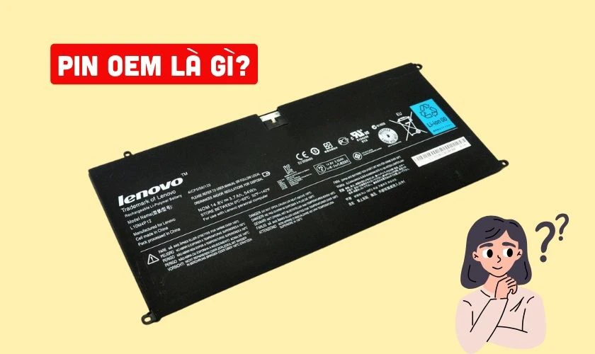 Pin OEM là gì?