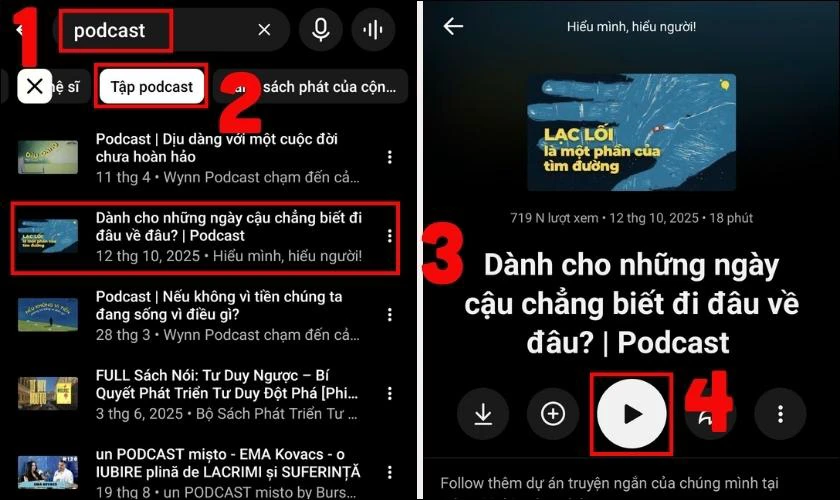 Gõ cụm từ “Podcast” vào ô trống và chọn tab Tập podcast