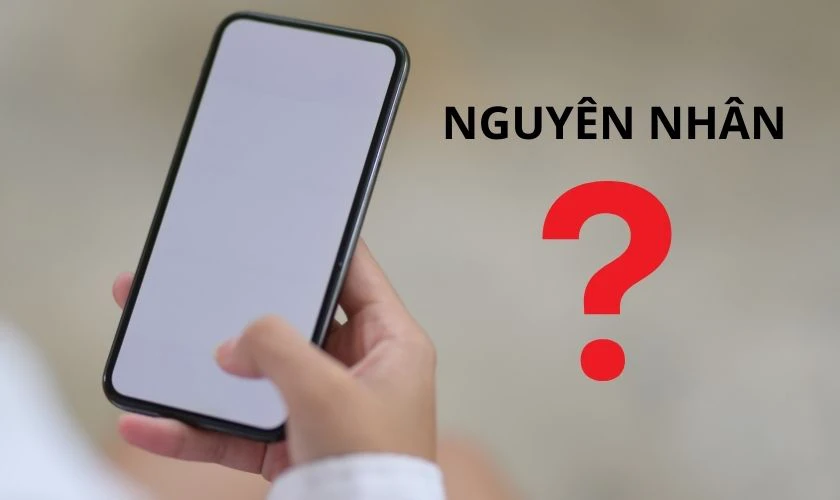 Biểu hiện khi Samsung Note 9 bị lỗi màn hình