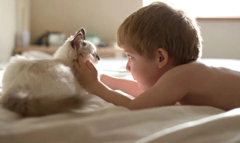 Thú cưng - Quà tặng đầy bất ngờ ngày Quốc tế Thiếu nhi
