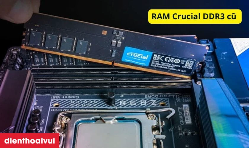 C&aacute;c d&ograve;ng RAM Crucial cũ phổ biến hiện nay