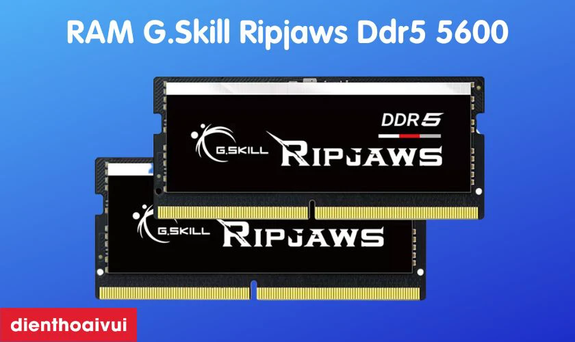 Th&ocirc;ng tin chi tiết về RAM laptop G.Skill Ripjaws Ddr5 5600