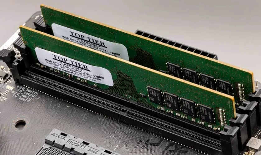 RAM Rank Single vs Dual