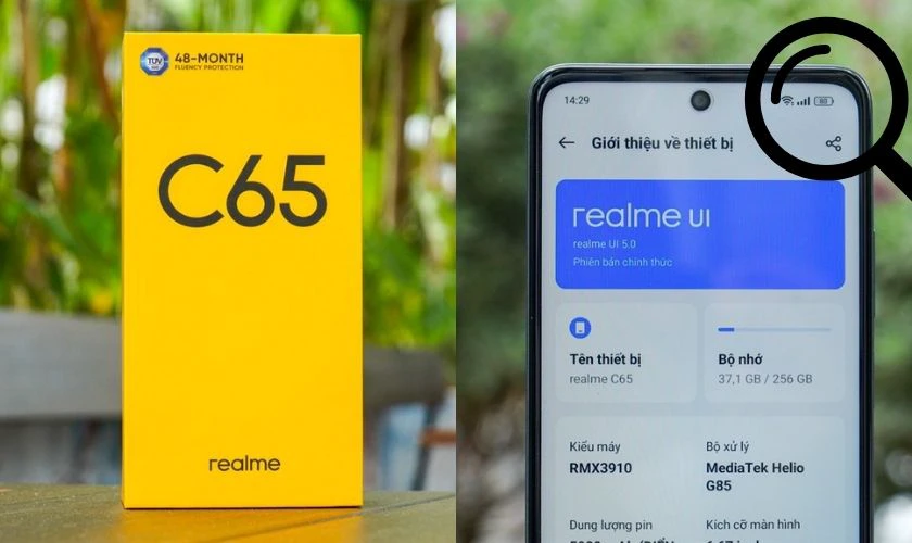 Những điểm cần kiểm tra trước khi mua Reamle C65