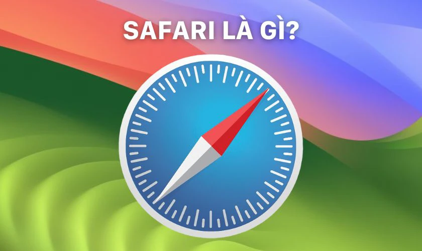 Safari l&agrave; g&igrave;?