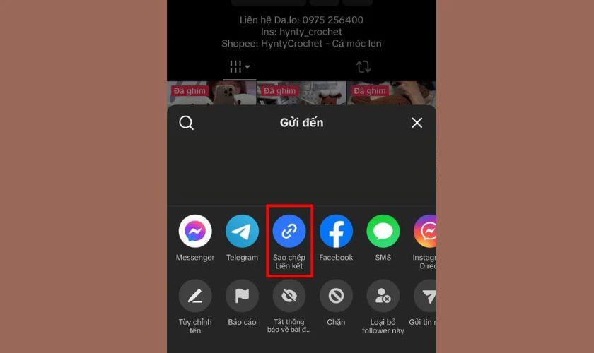 Chọn Sao ch&eacute;p li&ecirc;n kết
