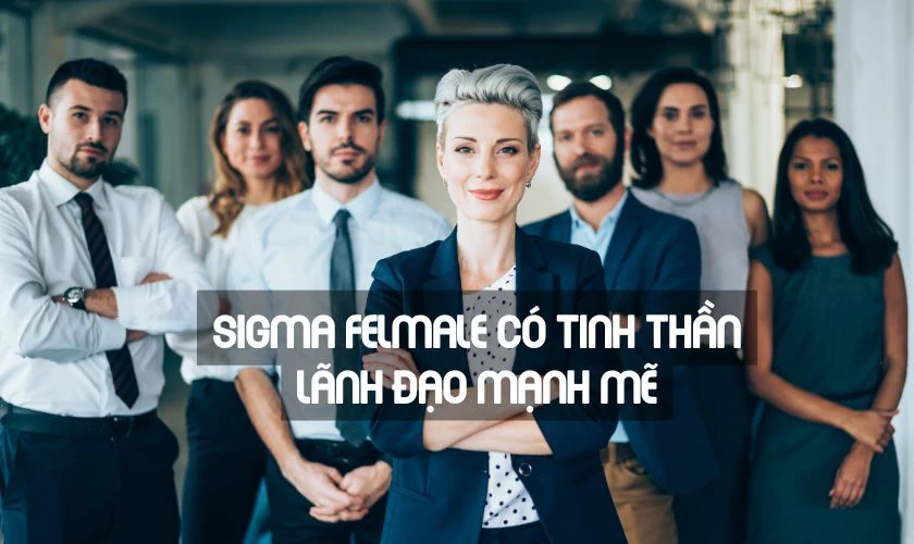 Ưu v&agrave; nhược điểm của Sigma