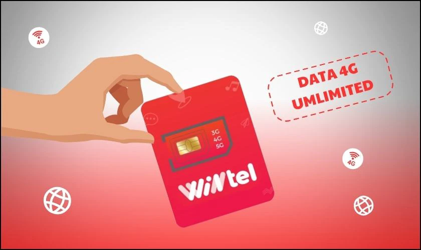 SIM Wintel l&agrave; SIM g&igrave;?