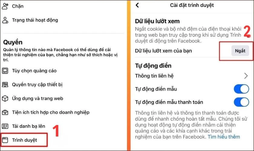Chọn vào Trình duyệt tại mục Quyền và nhấn vào nút Ngắt tại Dữ liệu lướt xem