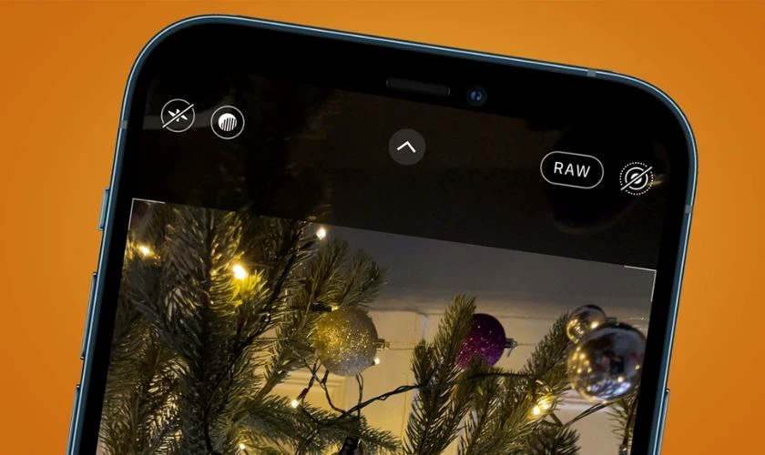 Định dạng ProRAW trên iPhone 12 và 12 Pro