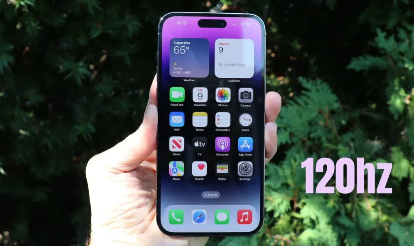 So sánh màn hình iPhone 14 Plus và 14 Pro Max