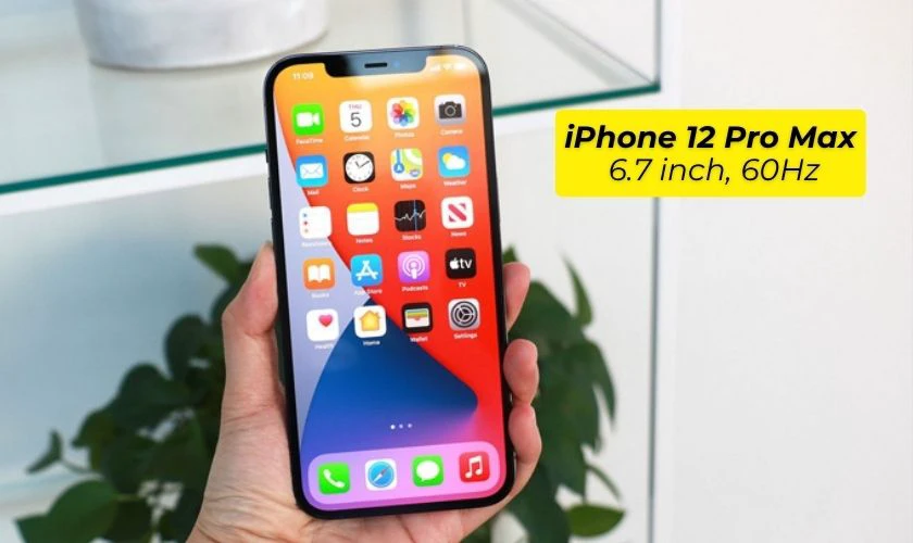 Màn hình OLED trên iPhone 12 Pro Max và 15 Plus