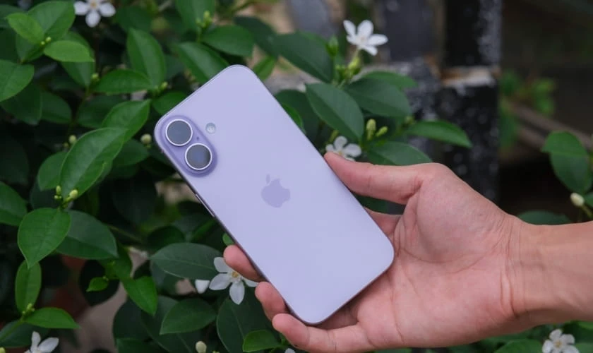 Cập nhật giá máy cũ