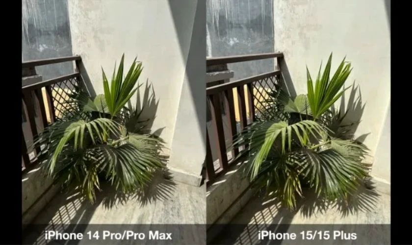 Máy nào chụp ảnh tốt hơn