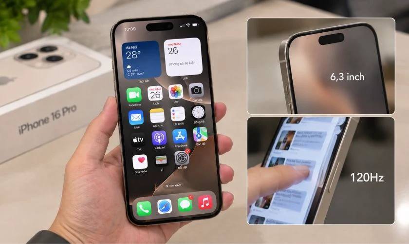 So sánh màn hình iPhone 16 Plus và 16 Pro