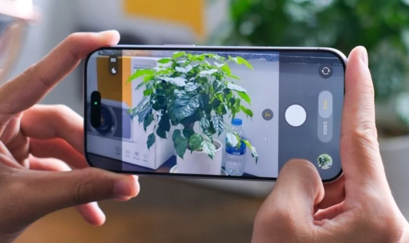 So sánh iPhone 16 Plus và iPhone 17 về camera