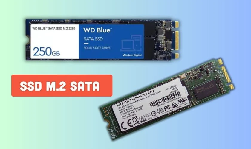 SSD M2 là gì? Có những loại nào?