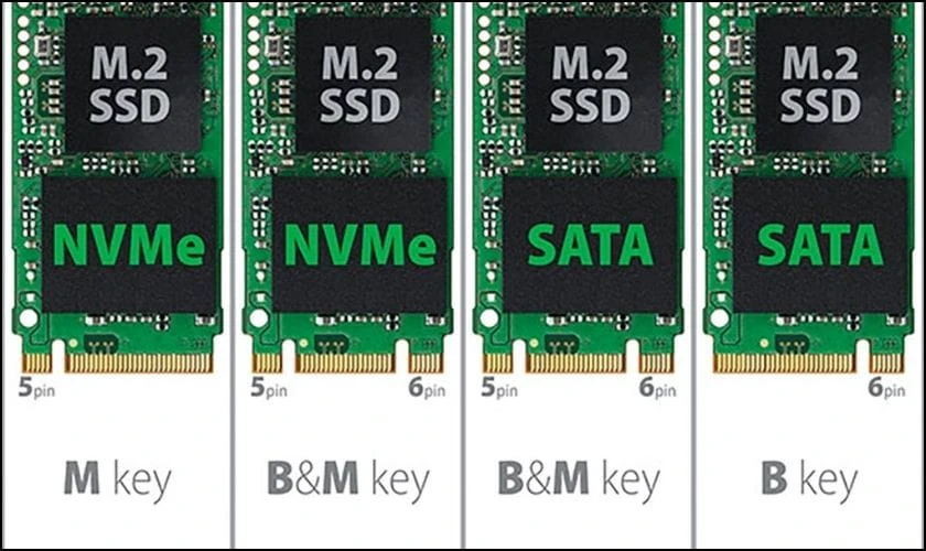 Phân biệt chân cắm (Key B, Key M, Key B+M)