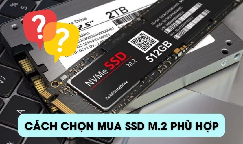 Cách chọn SSD M.2 phù hợp với nhu cầu