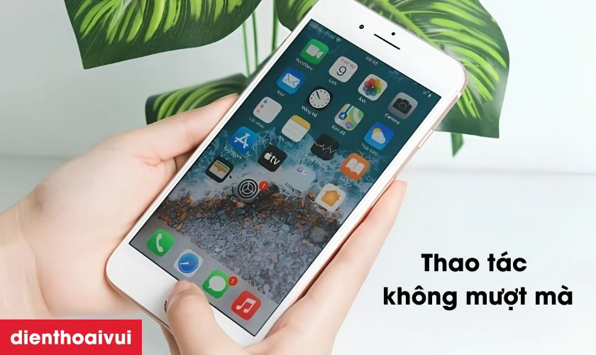 Sửa main - IC hiển thị cảm ứng iPhone 8 Plus