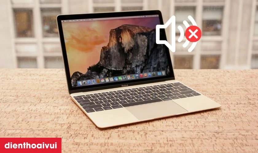 Loa kh&ocirc;ng ph&aacute;t ra tiếng d&ugrave; c&oacute; điều chỉnh v&agrave; c&agrave;i đặt &acirc;m lượng lớn nhất