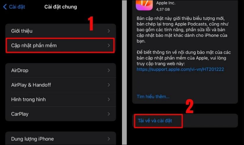 Bạn chọn v&agrave;o t&iacute;nh năng Cập nhật phần mềm