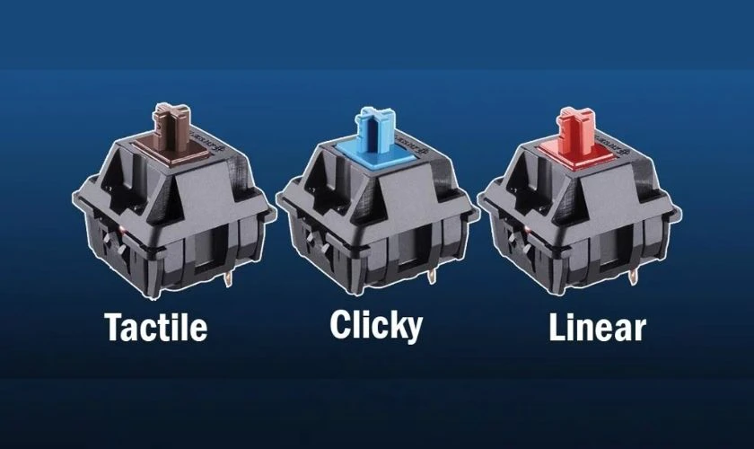 Switch b&agrave;n ph&iacute;m l&agrave; g&igrave;?