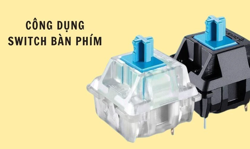 C&ocirc;ng dụng của Switch b&agrave;n ph&iacute;m l&agrave; g&igrave;?