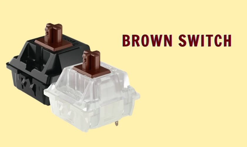 Brown switch l&agrave; loại switch tactile