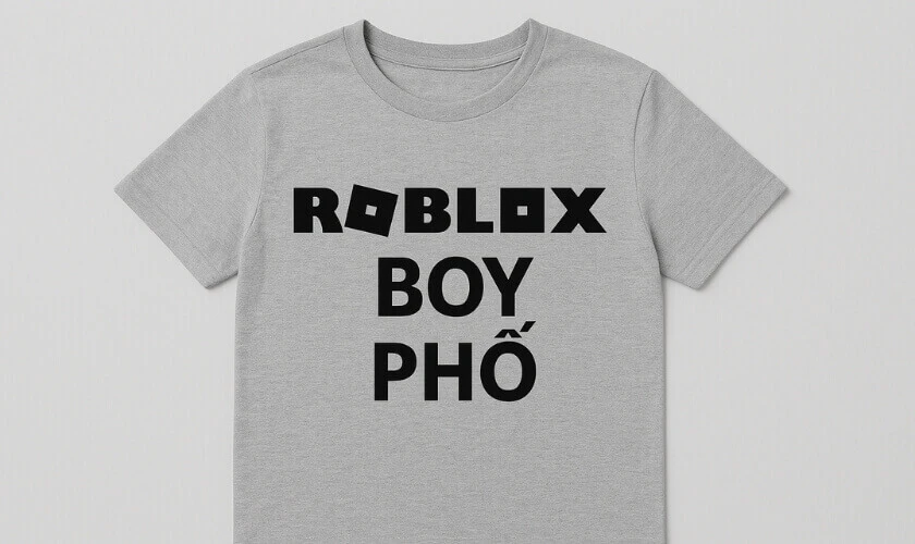 Áo thun boy phố chất