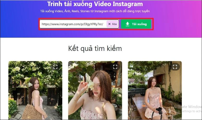 Dán liên kết bạn vừa sao chép vào ô tìm kiếm trên Snapinst